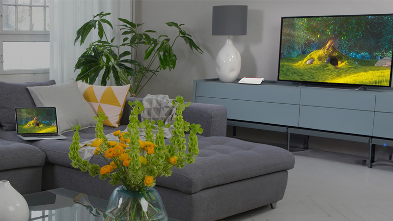 Modern eingerichtetes Wohnzimmer mit Sofa, Fernseher, Pflanzen und Couchtisch – symbolisiert die Nutzung von Multimedia im Heimnetz